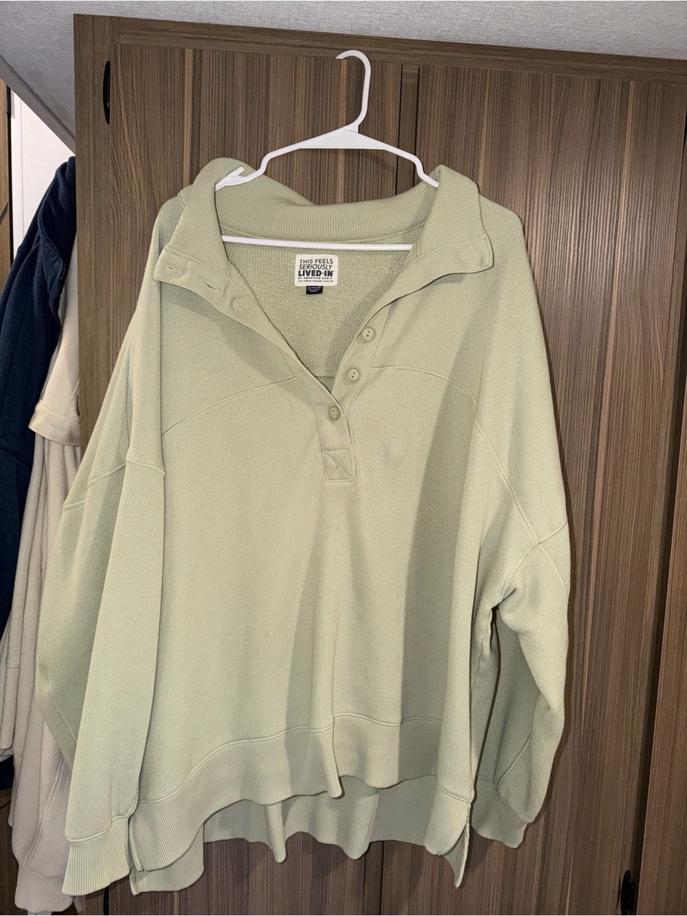 American Eagle Outfitters Sage Green Henley Pullover